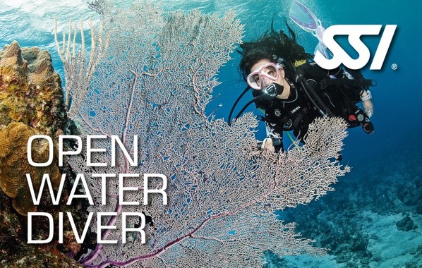 Cours Open Water Diver
